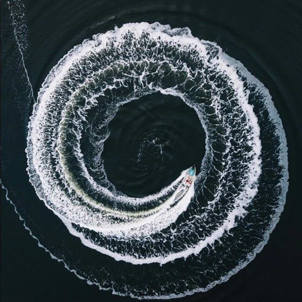 Meet your Posher, Molly